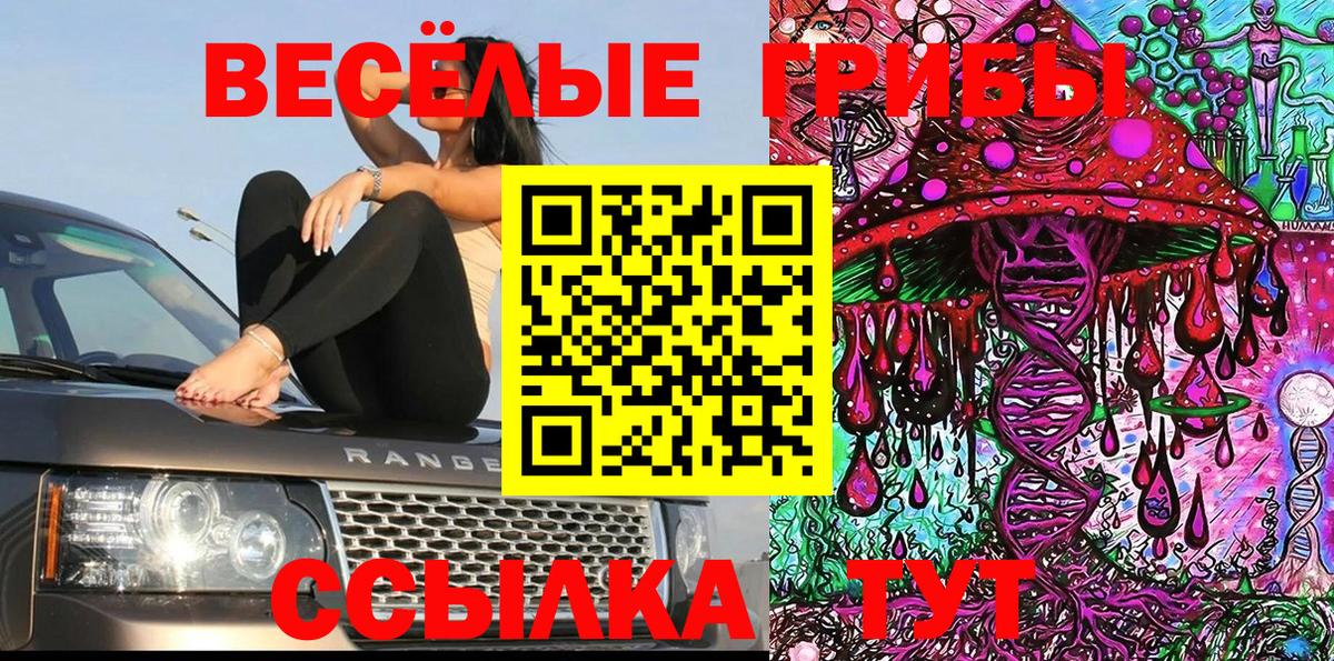 Лянтор  Галлюциногенные грибы Cubensis  сколько стоит  Вход с VPN 